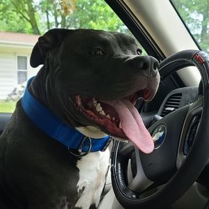 Meet your Posher, Mark